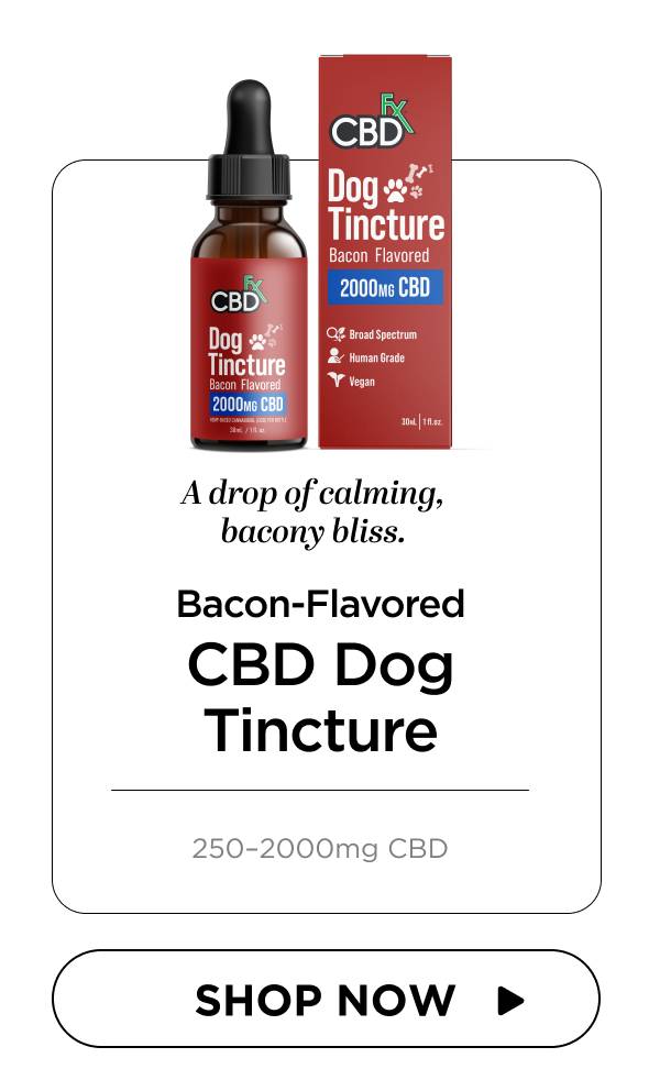 CBD Oil for Dogs (Bacon Flavored)