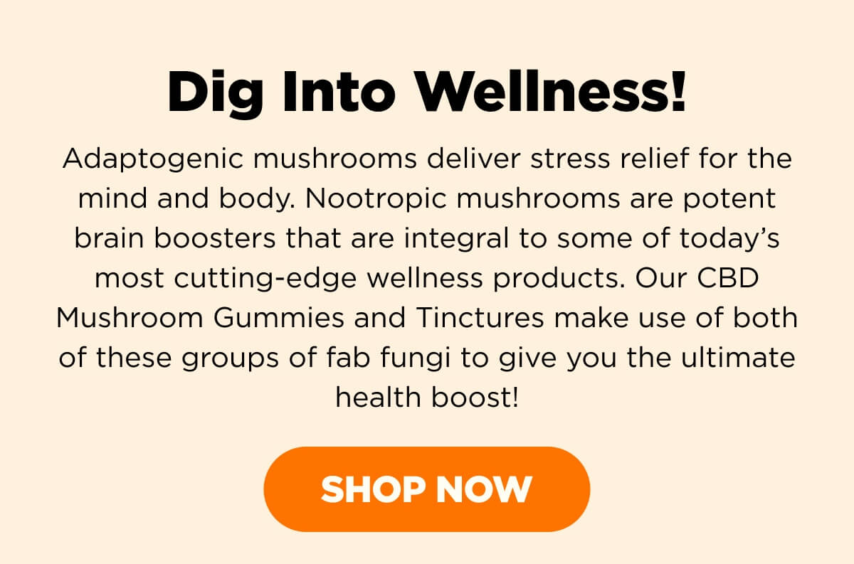 Dig Into Wellness! Adaptogenic mushrooms deliver stress relief for the mind and body. Nootropic mushrooms are potent brain boosters that are integral to some of today’s most cutting-edge wellness products. Our CBD Mushroom Gummies and Tinctures make use of both of these groups of fab fungi to give you the ultimate health boost! [SHOP NOW]