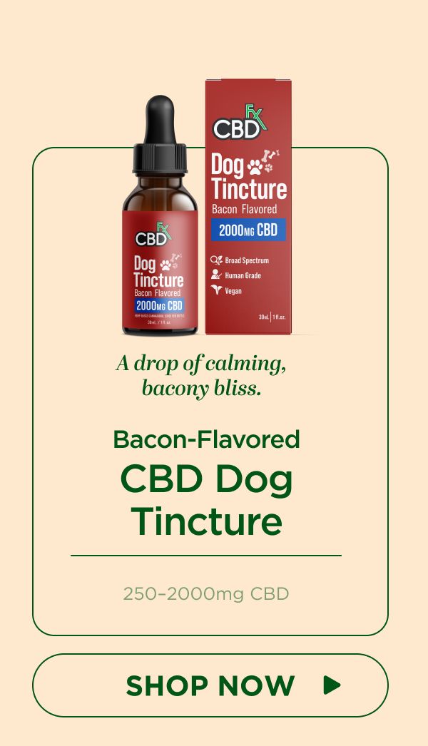 CBD Oil for Dogs (Bacon Flavored)