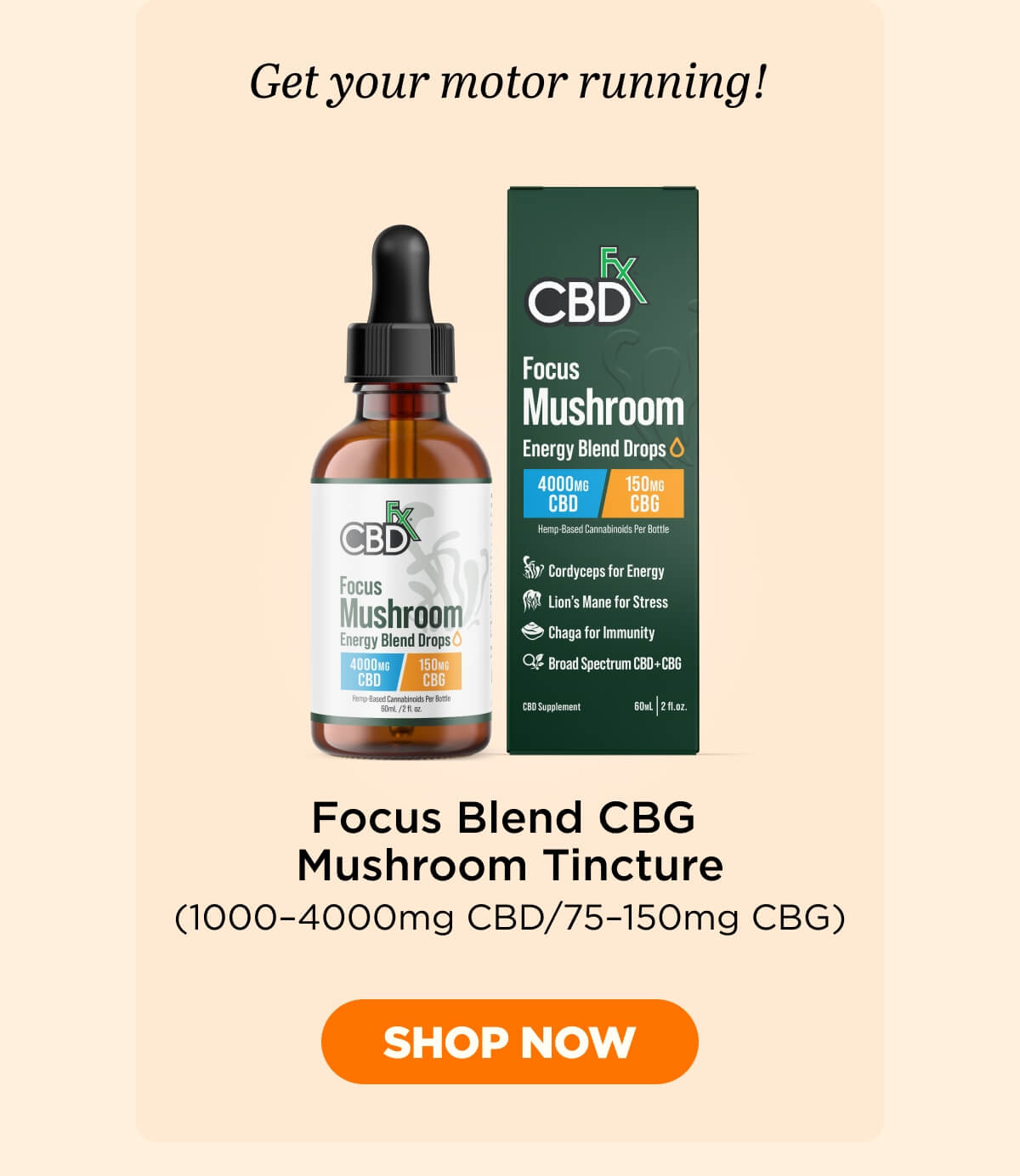Focus Blend CBG Mushroom Tincture