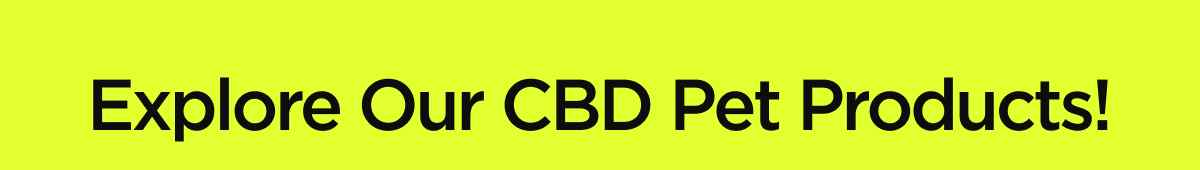 Explore Our CBD Pet Products!
