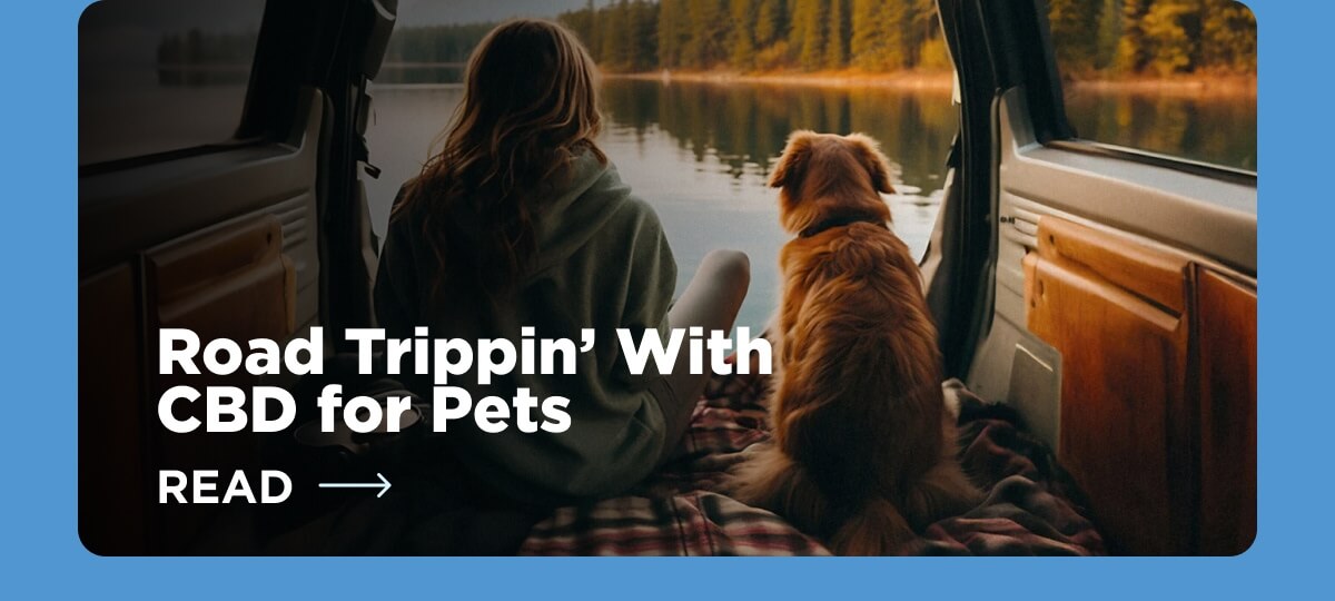 Road Trippin’ With CBD for Pets [READ ARTICLE]