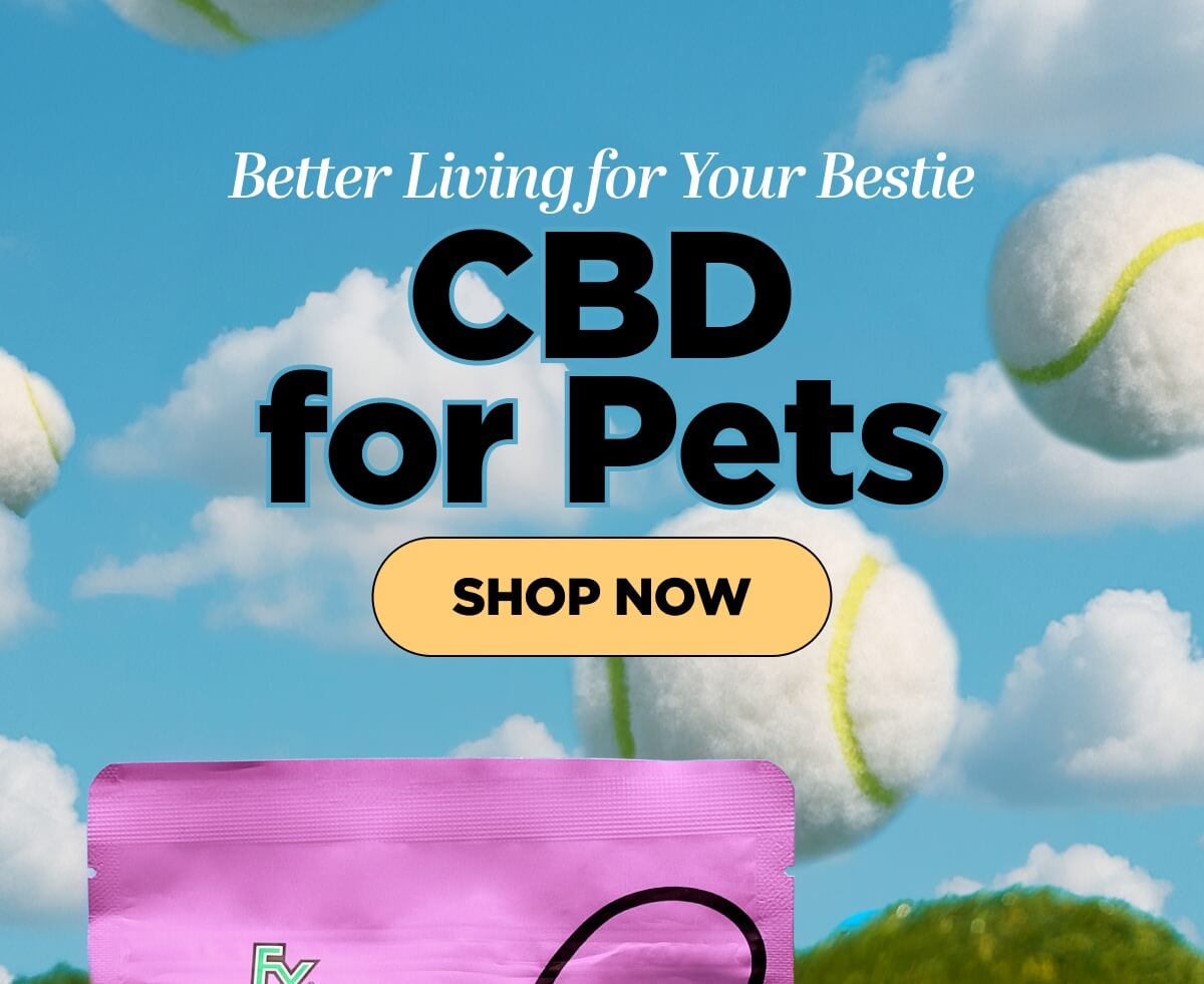 Better Living for Your Bestie. CBD for Pets