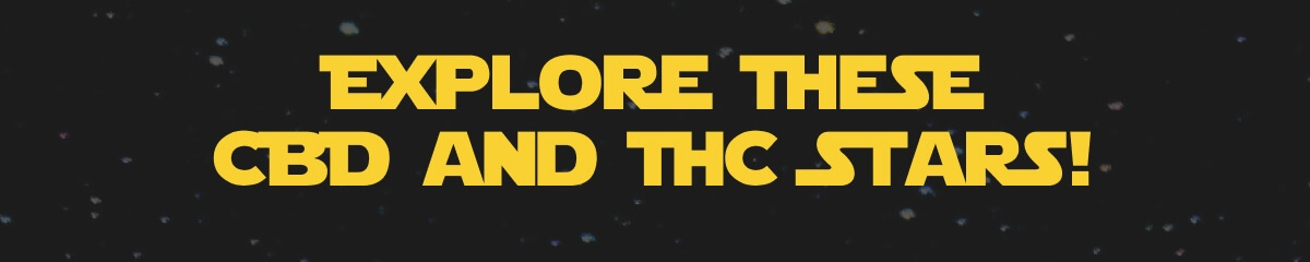 Explore These CBD & THC Stars!