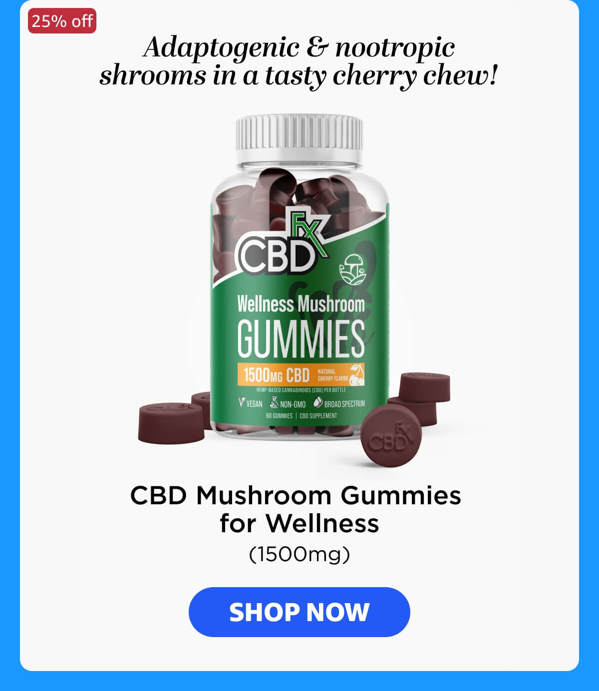 Wellness Mushroom Gummies