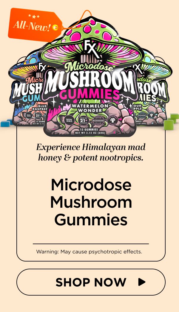 Microdose Mushroom Gummies