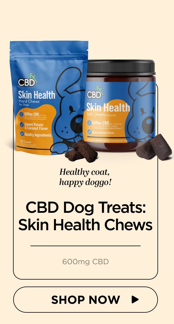 CBD Dog Treats: Skin Health Chews