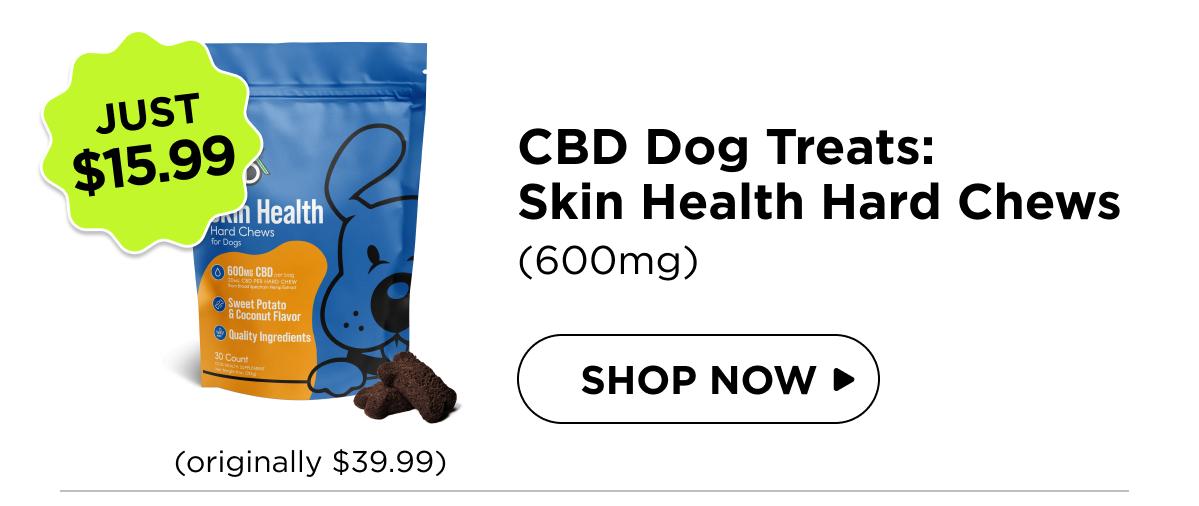 CBD Dog Treats: Skin Health Chews