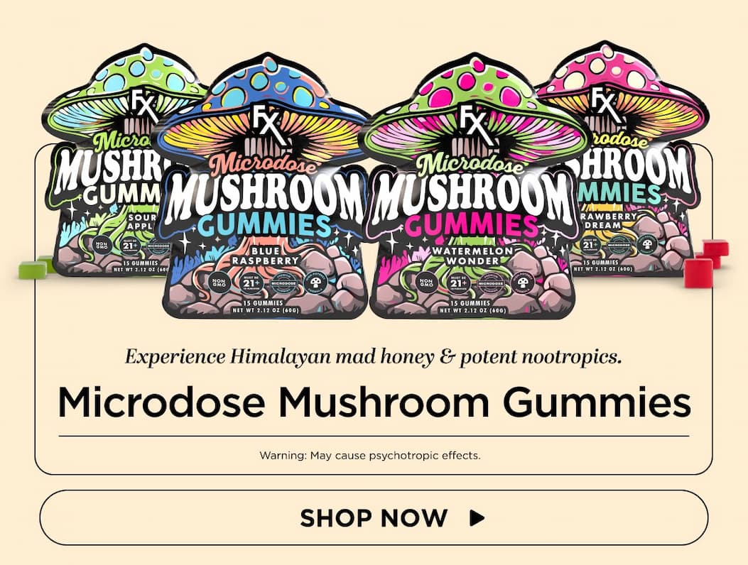Experience Himalayan mad honey & potent nootropics.  Microdose Mushroom Gummies Warning: May cause psychotropic effects. [SHOP NOW]