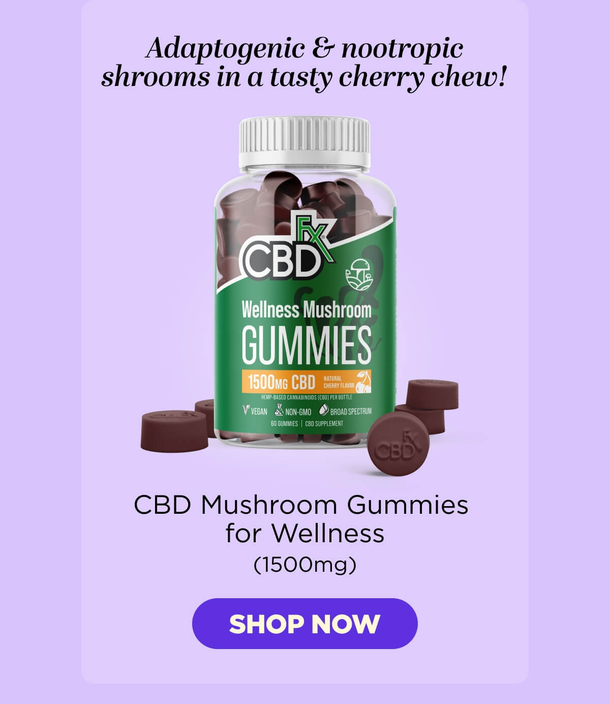 Wellness Mushroom Gummies