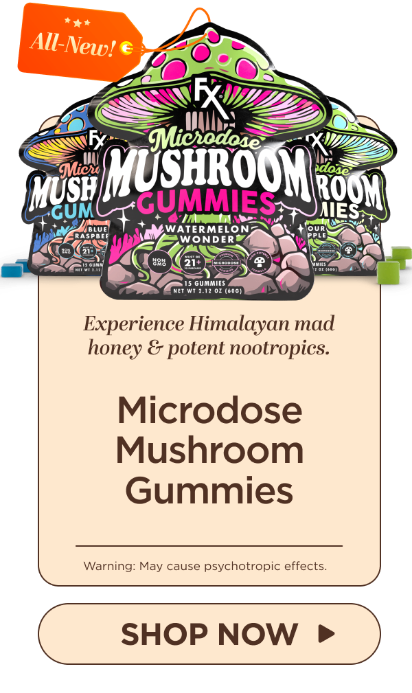 Microdose Mushroom Gummies