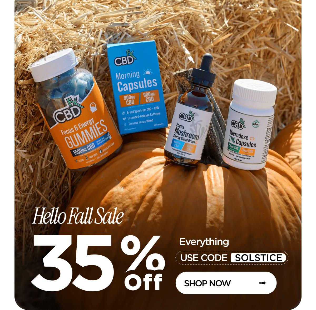 Hello Fall Sale | 35% off everything