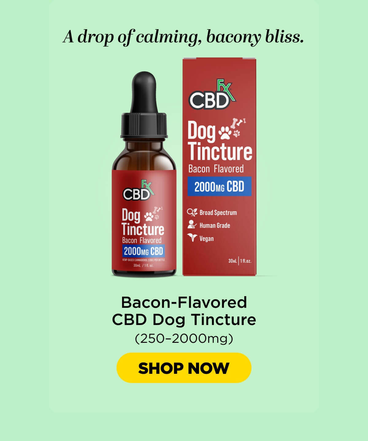 CBD Oil for Dogs (Bacon Flavored)