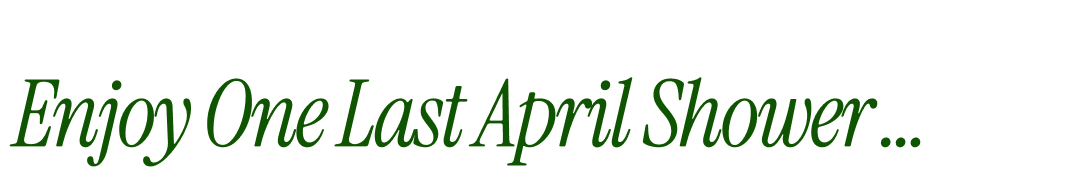 Enjoy One Last April Shower …