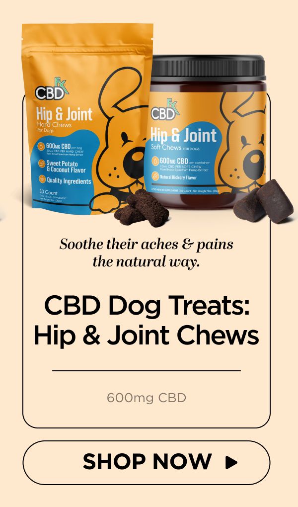 CBD Dog Treats: Hip & Joint Chews