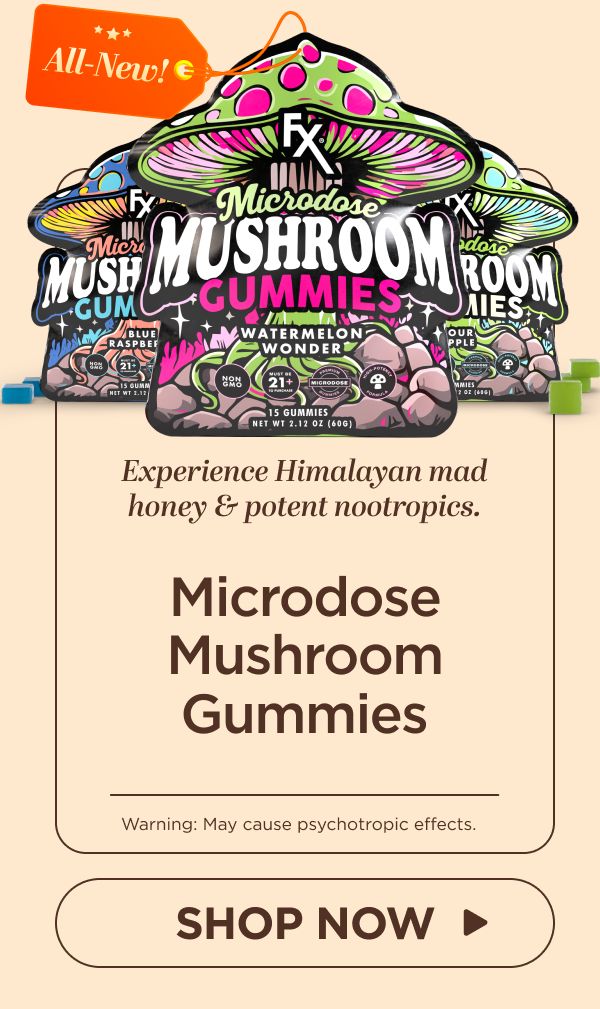 Microdose Mushroom Gummies