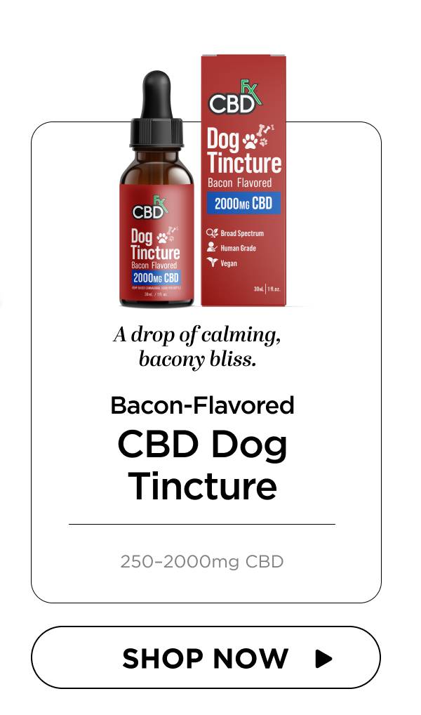 CBD Oil for Dogs (Bacon Flavored)