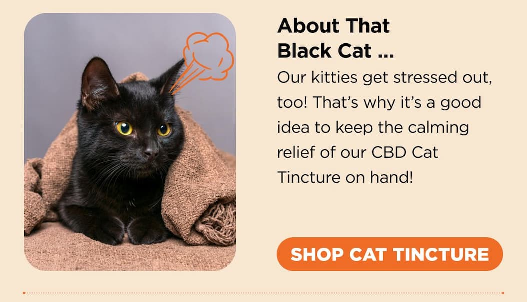 About That Black Cat … Our kitties get stressed out, too! That’s why it’s a good idea to keep the calming relief of our CBD Cat Tincture on hand! [SHOP CAT TINCTURE]  