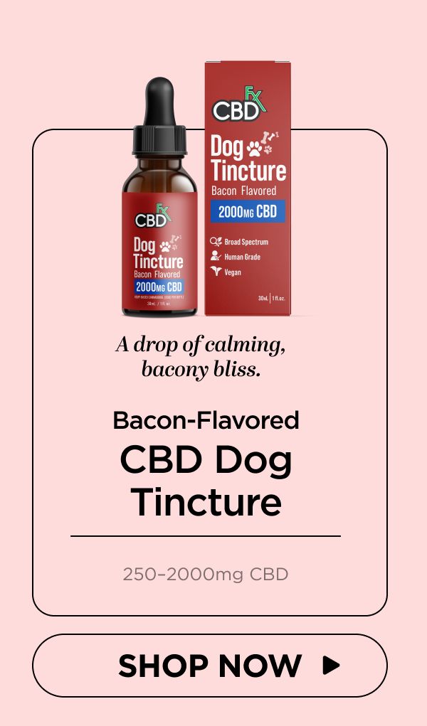 CBD Oil for Dogs (Bacon Flavored)