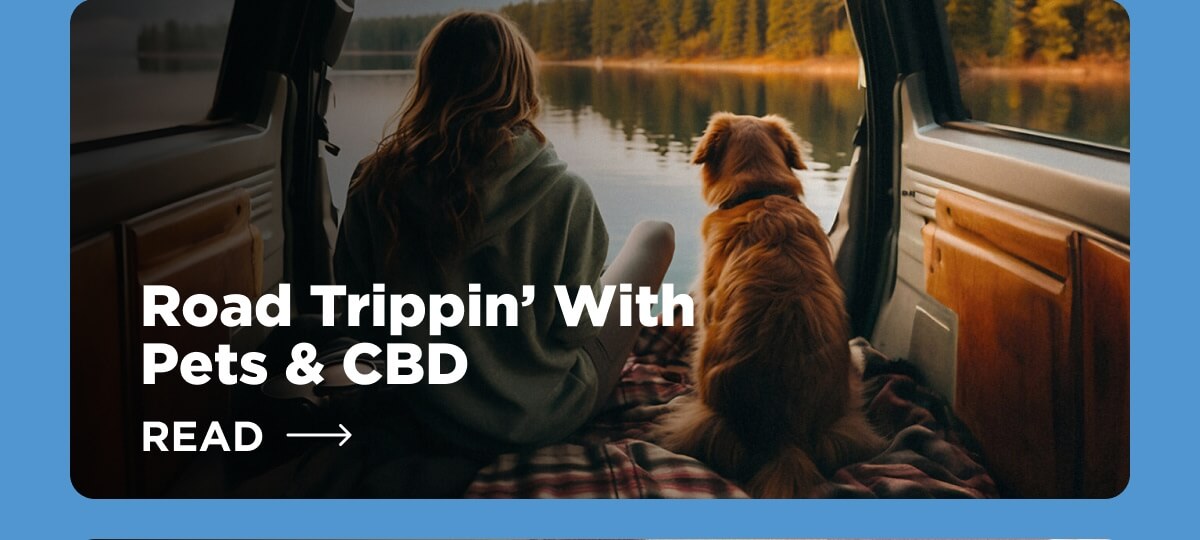Road Trippin’ With Pets & CBD [READ ARTICLE]
