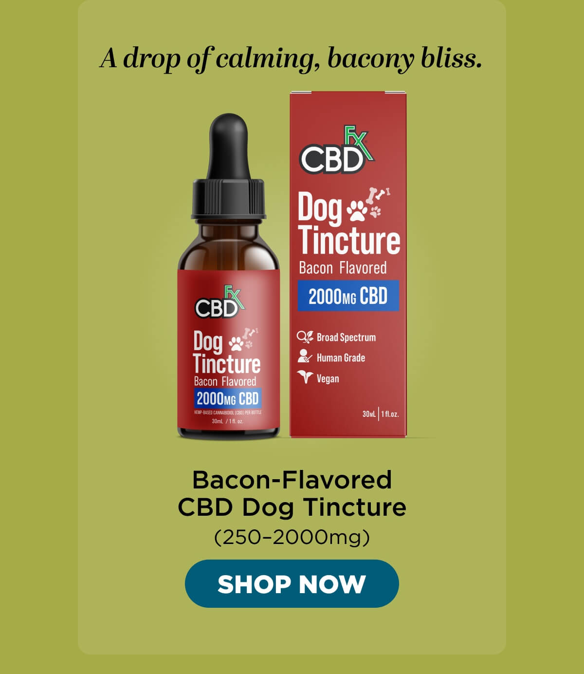 Bacon-Flavored CBD Dog Tincture