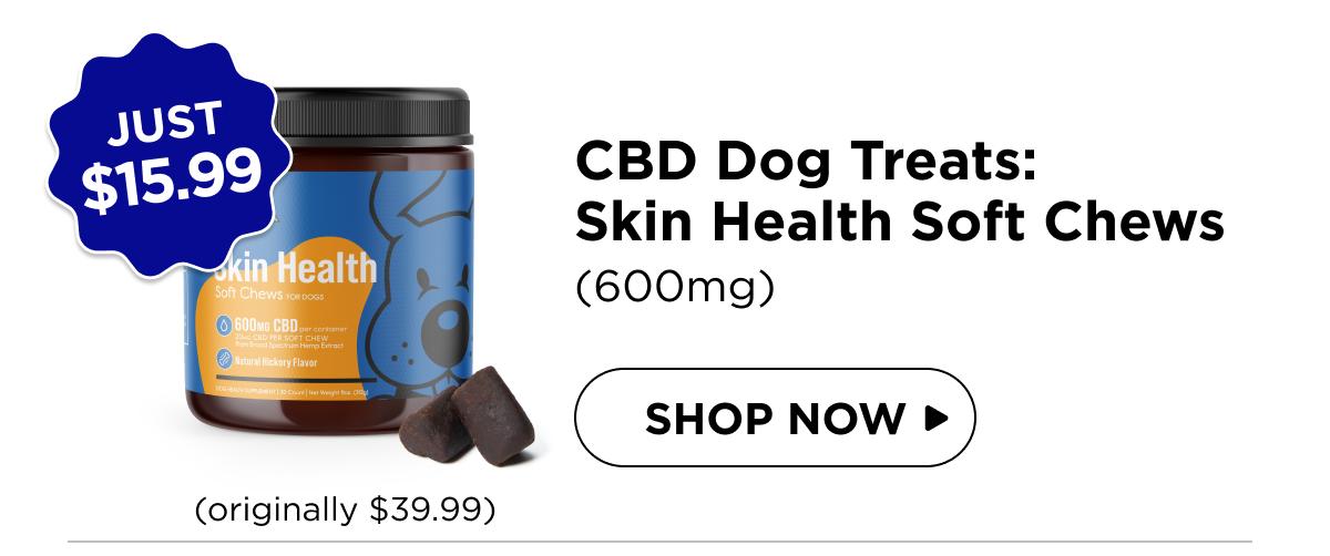 CBD Dog Treats: Skin Health Chews