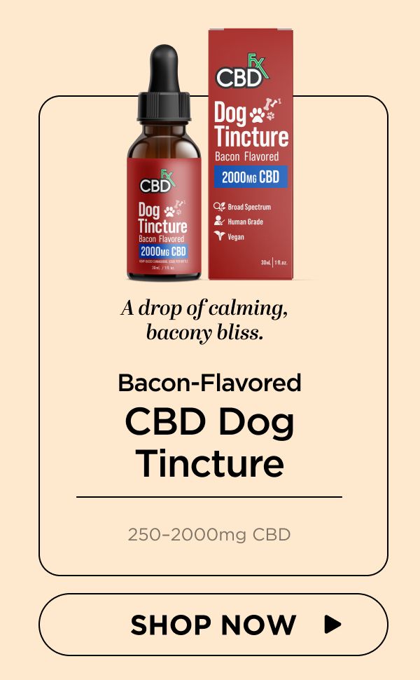CBD Oil for Dogs (Bacon Flavored)