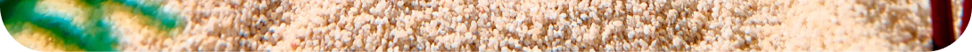 ------