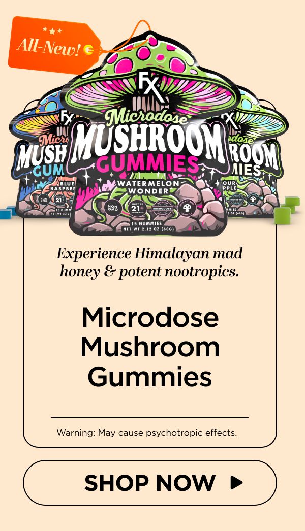 Microdose Mushroom Gummies