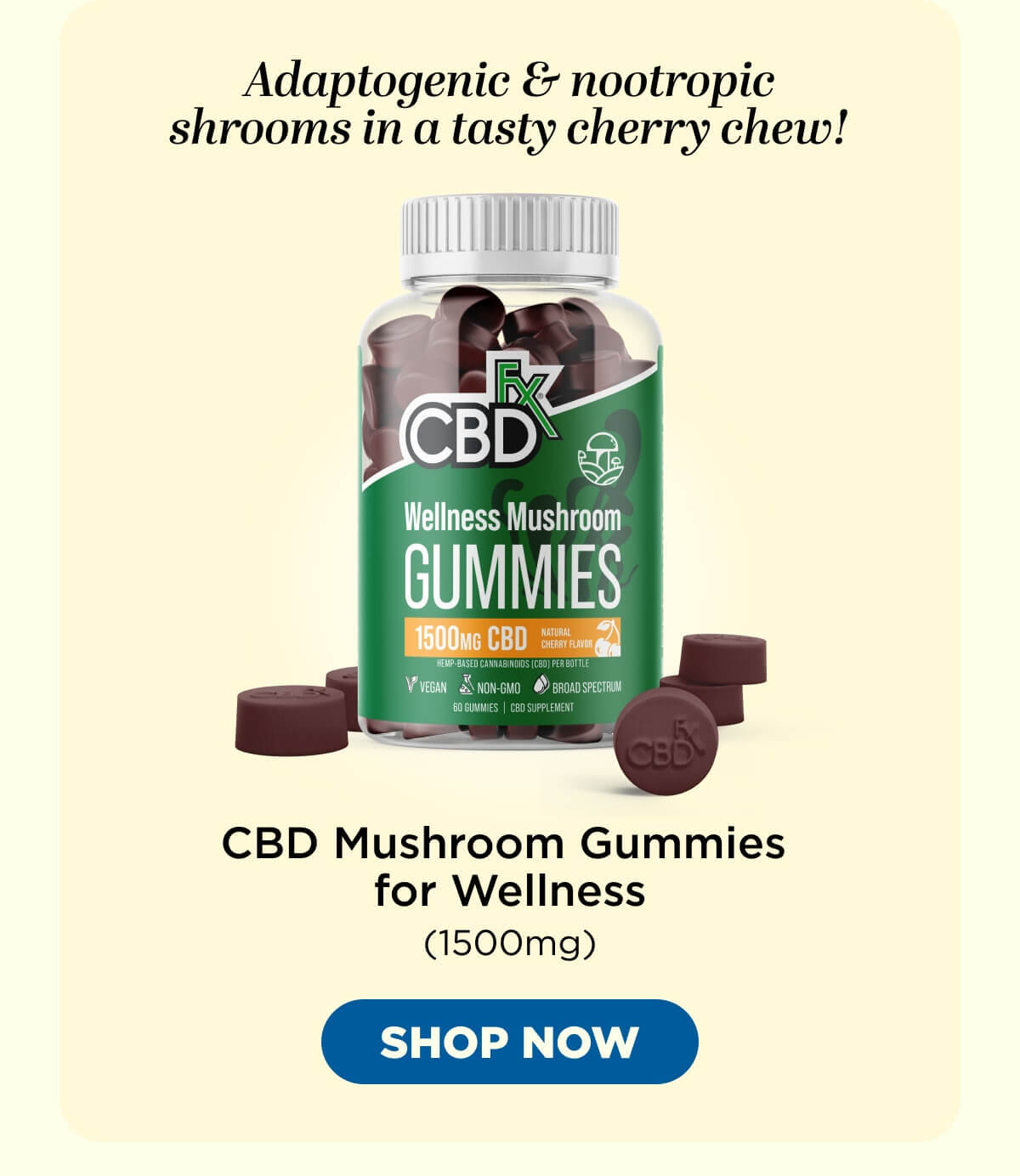 Wellness Mushroom Gummies