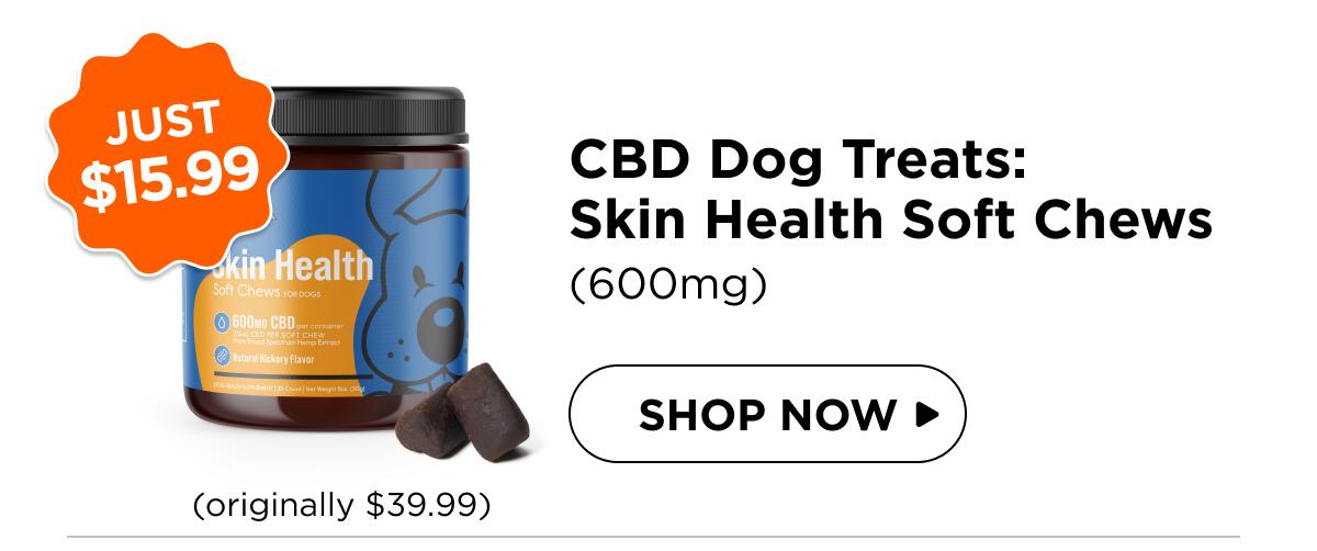 CBD Dog Treats: Skin Health Chews