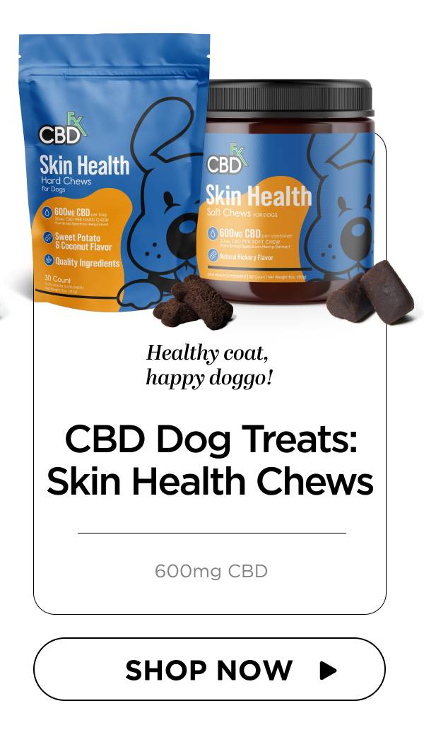 CBD Dog Treats: Skin Health Chews