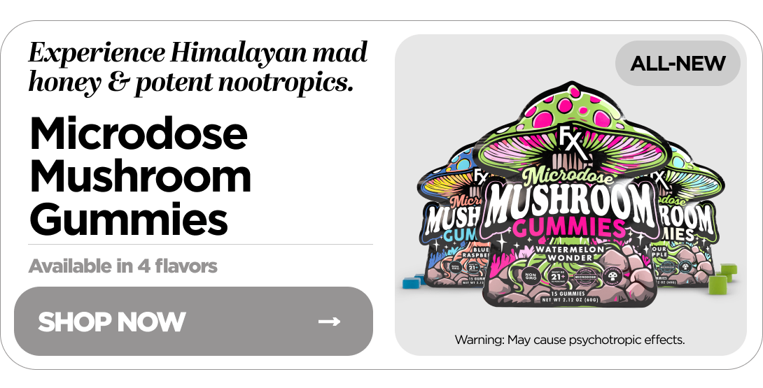 Microdose Mushroom Gummies