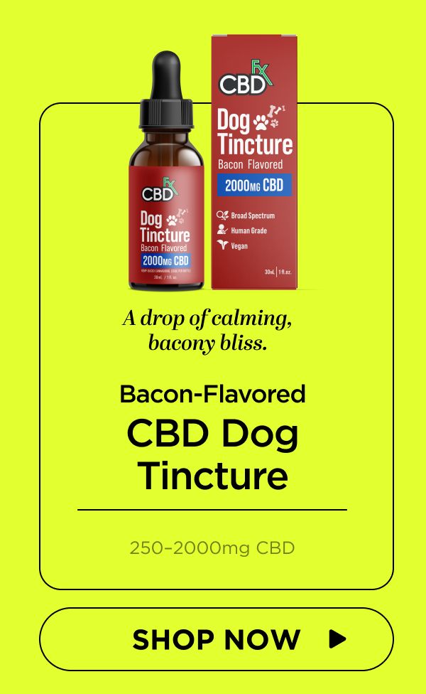 CBD Oil for Dogs (Bacon Flavored)