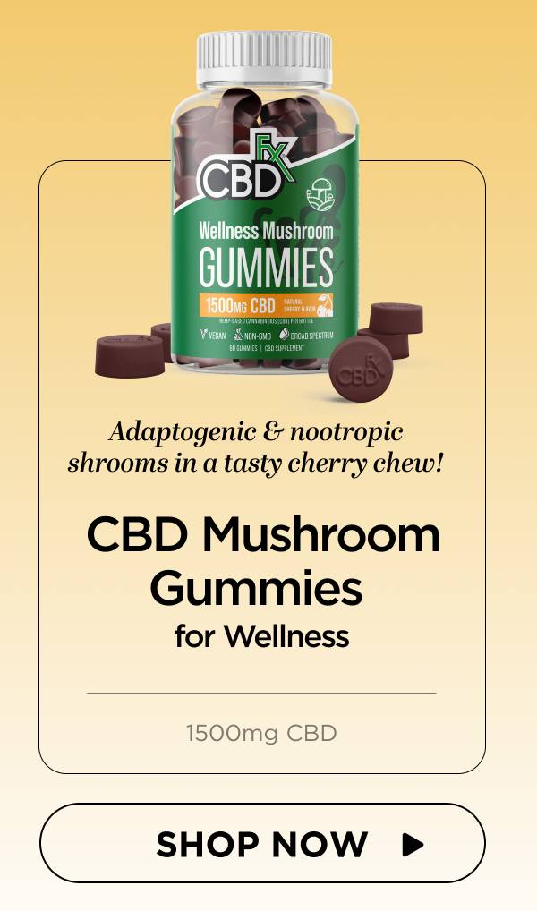 Wellness Mushroom Gummies