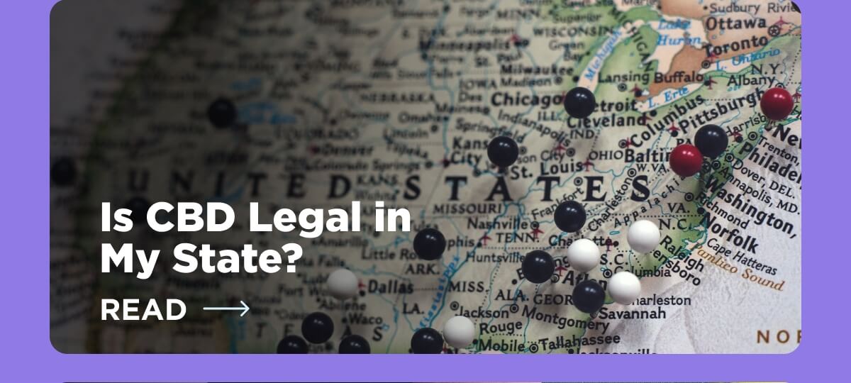 Is CBD Legal in My State? [READ ARTICLE]