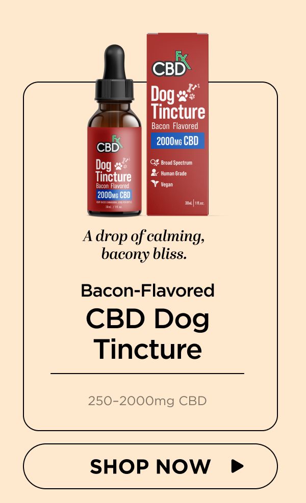CBD Oil for Dogs (Bacon Flavored)