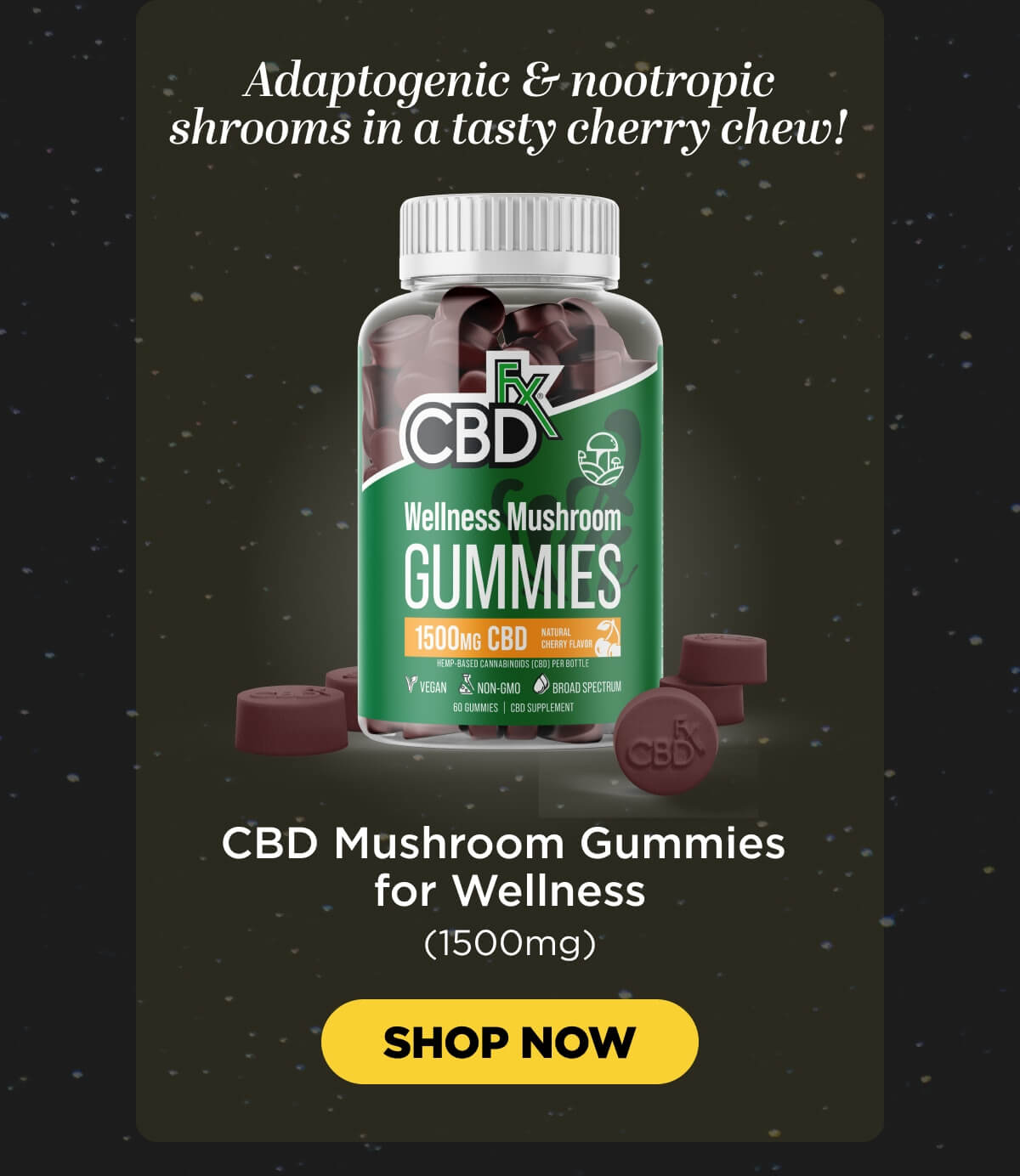 Wellness Mushroom Gummies