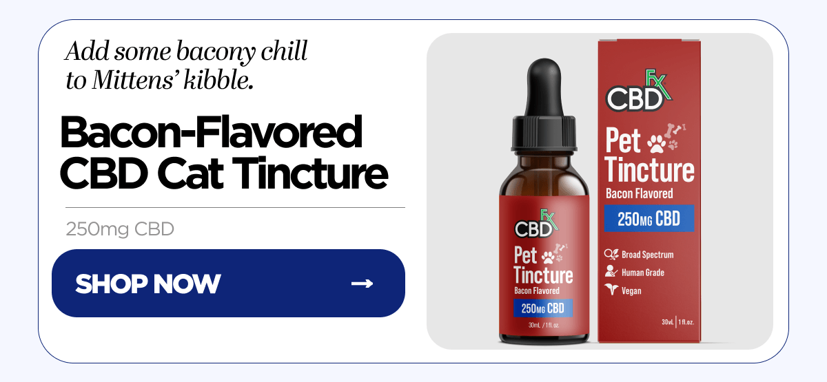 Bacon-Flavored CBD Cat Tincture