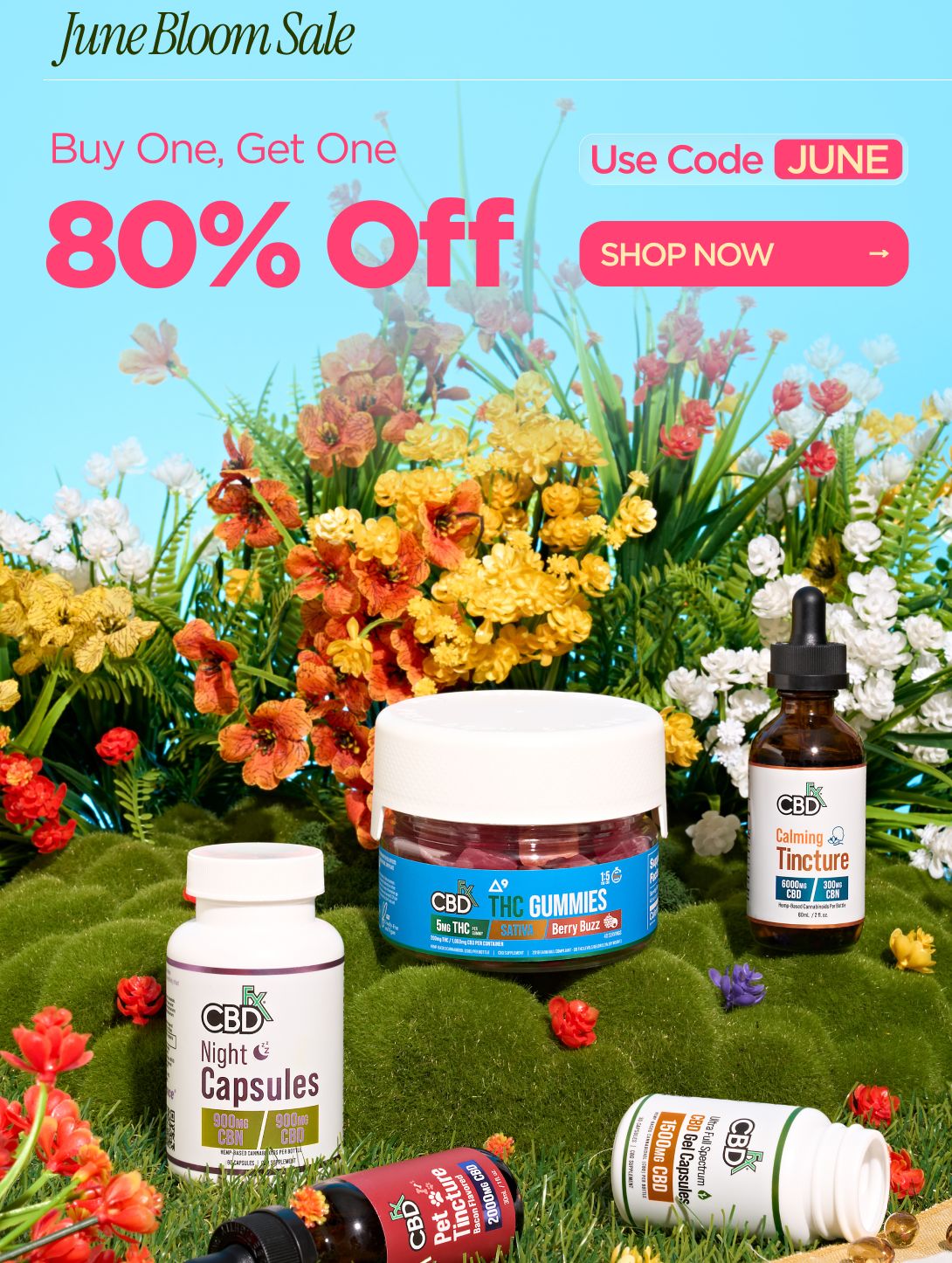  June Bloom Sale Buy One, Get One 80% OFF Use code JUNE