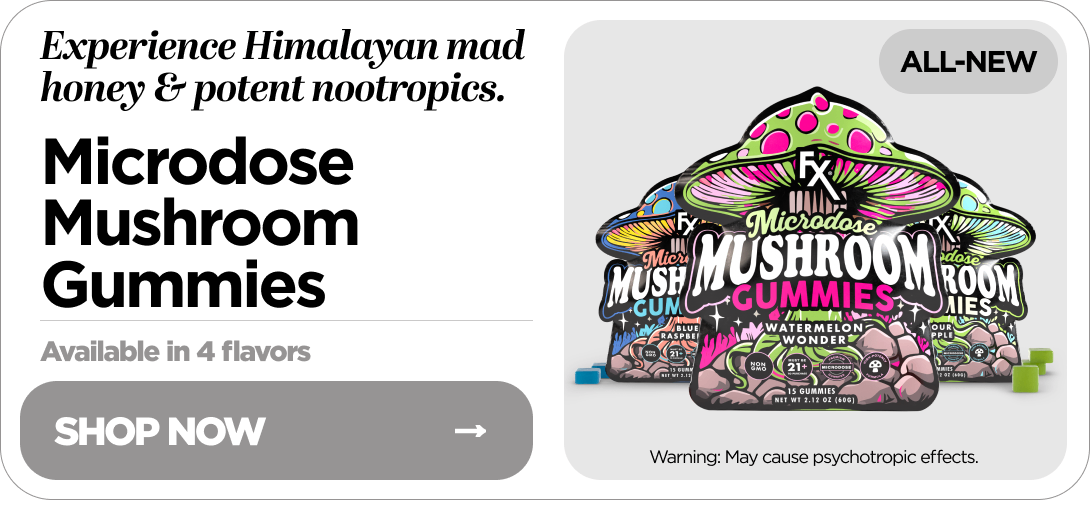 Microdose Mushroom Gummies