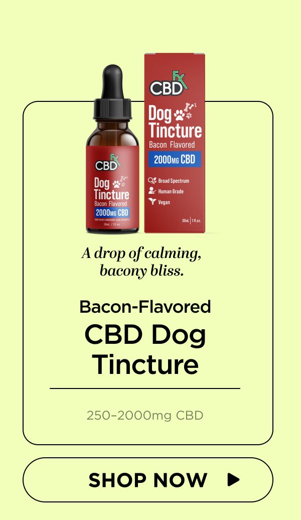 CBD Oil for Dogs (Bacon Flavored)