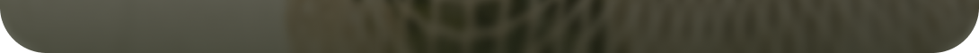 ------