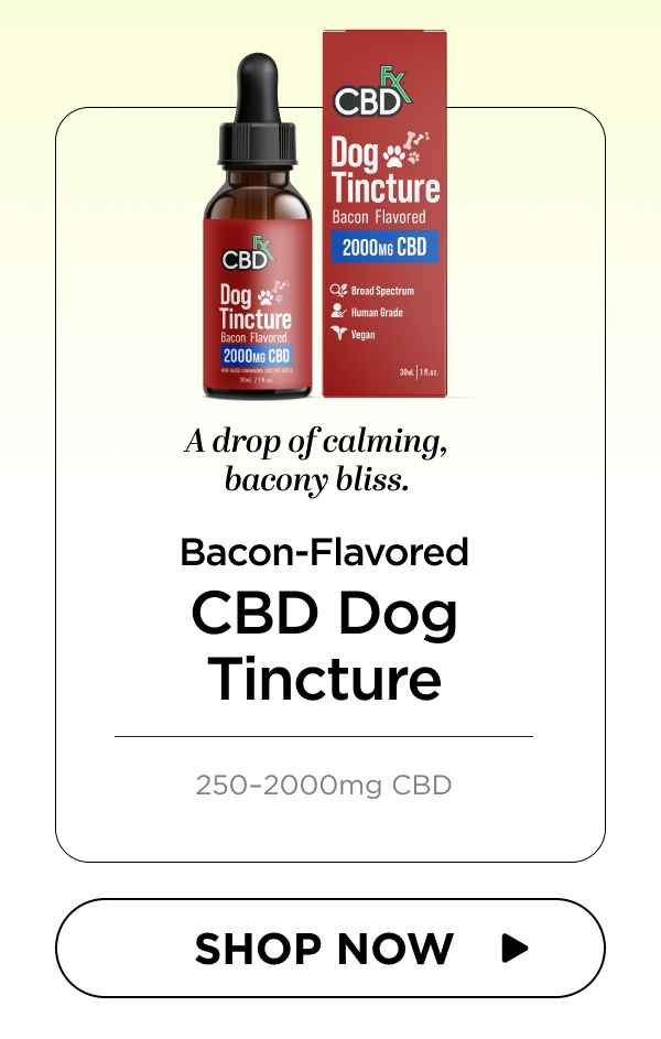 CBD Oil for Dogs (Bacon Flavored)