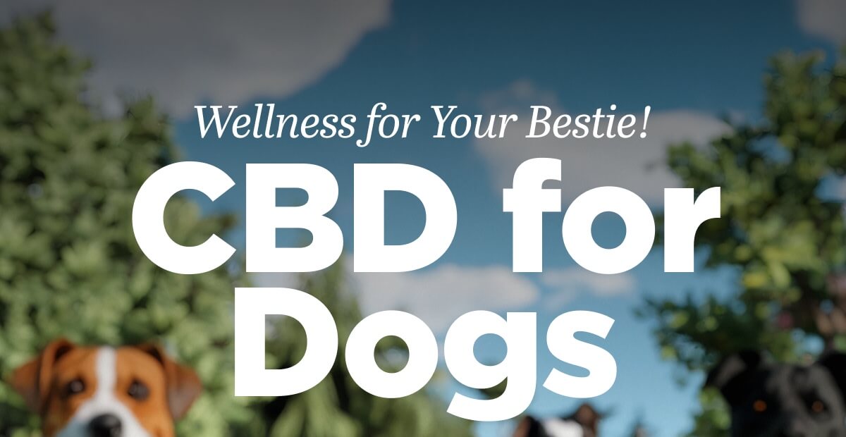 Wellness for Your Bestie! CBD for Dogs