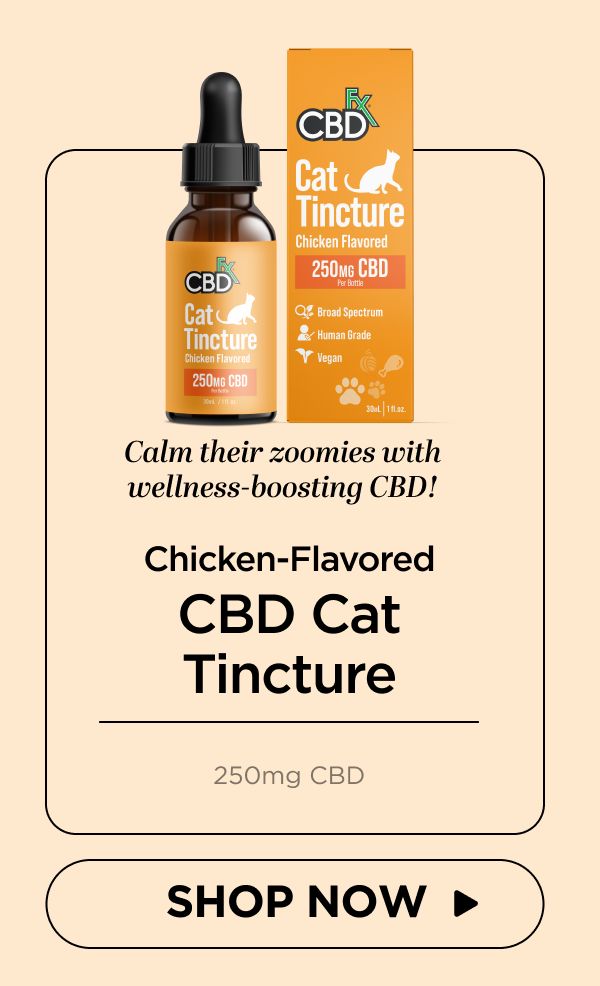 Chicken-Flavored CBD Cat Tincture