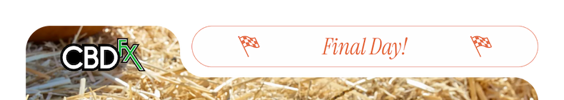 CBDfx - Final Day!