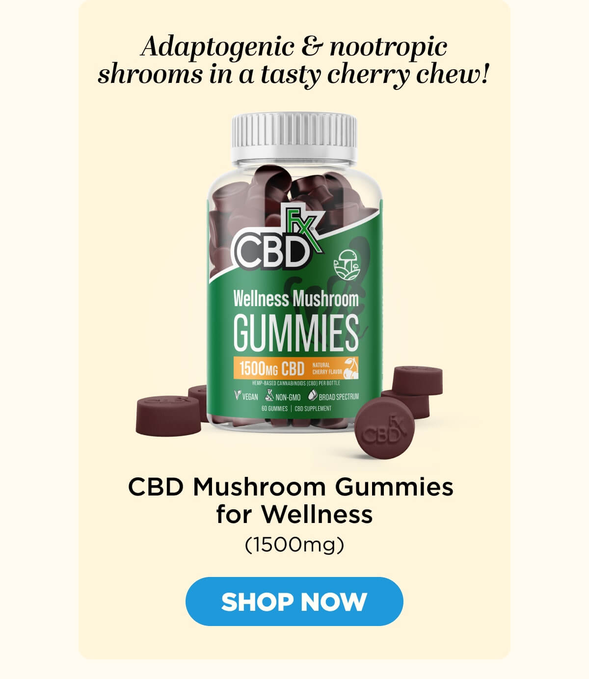 Wellness Mushroom Gummies