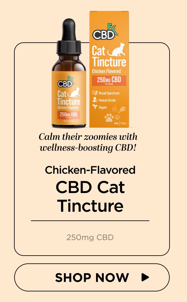 Chicken-Flavored CBD Cat Tincture