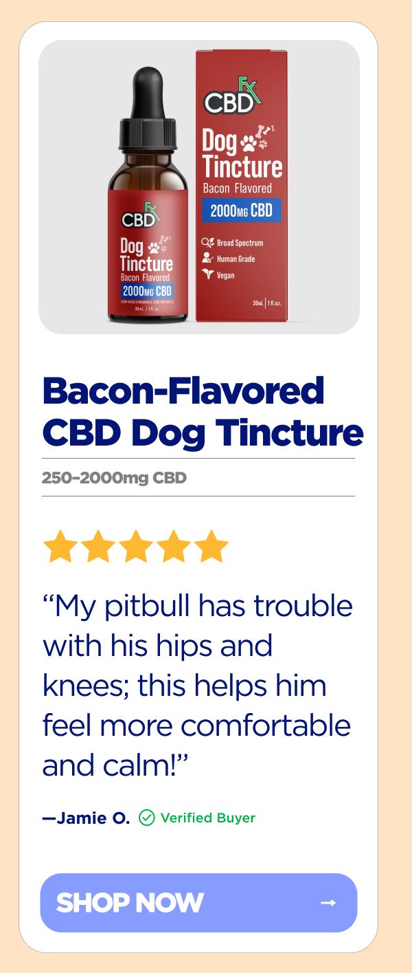 CBD Oil for Dogs (Bacon Flavored)